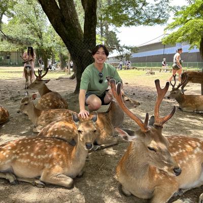 at Nara Deer Park in Japan