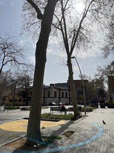 Carrer de Tanger