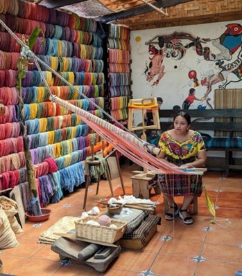 Casa Flor