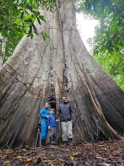 Ceiba2