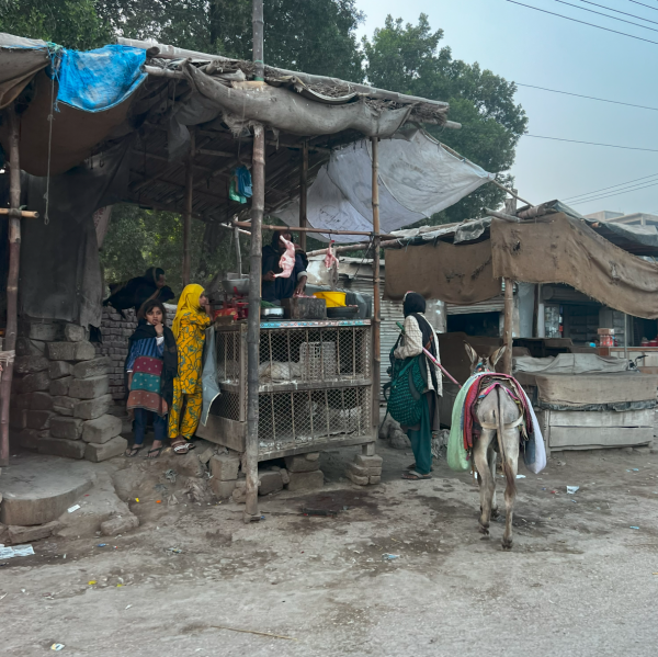 Vendor on the Side of the Road