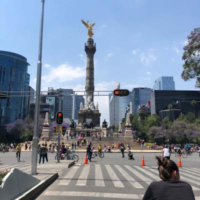 Caroline Chiu Milken Travel Stipend Essay Mexico 2022