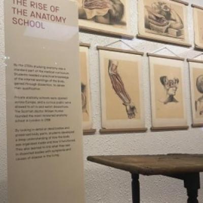 RiseofAnatomy