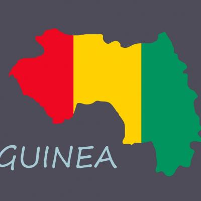flag map of guinea2