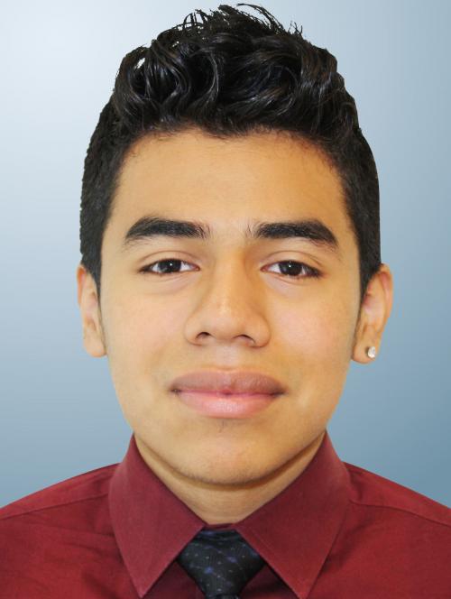 2015 Alexis Vivar