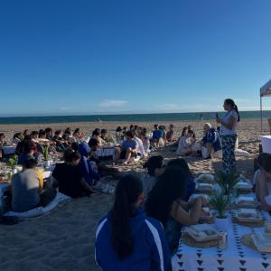 Beach Activity 2