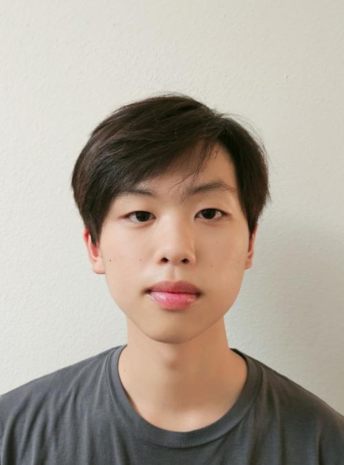 D2. Hong Headshot